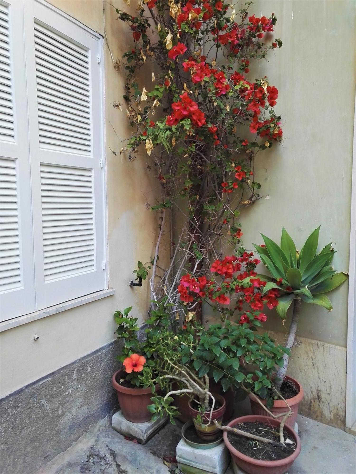 فيلا Aloha House Ortigia سيراكوزا المظهر الخارجي الصورة